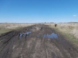 Отсыпка дороги в Нахвальском сельсовете