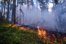 Уважаемые жители и гости Сухобузимского района!